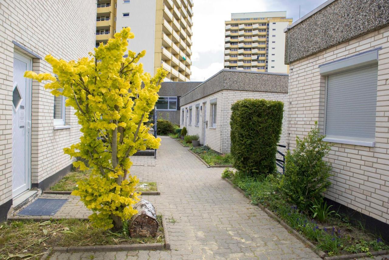 Appartement App 622 Panoramic Hohegeiss Mit Wlan Terrassenhaus à Braunlage Extérieur photo