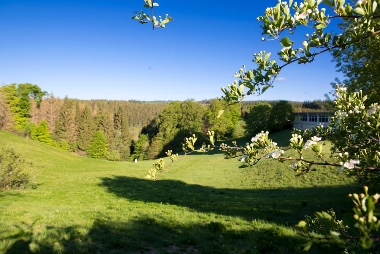 Appartement App 622 Panoramic Hohegeiss Mit Wlan Terrassenhaus à Braunlage Extérieur photo